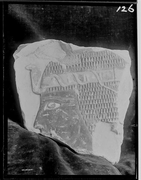 Db Neg 05 06 126 Image From The Deir El Bahari Db Sub Ar The Egypt Exploration Society