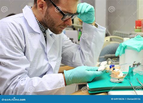 Dental Technician Stock Photo Image Of Physician Doctor 64918636