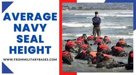 Design The Ultimate 5Step Guide To Navy Seal Height Requirements Today Excel Web