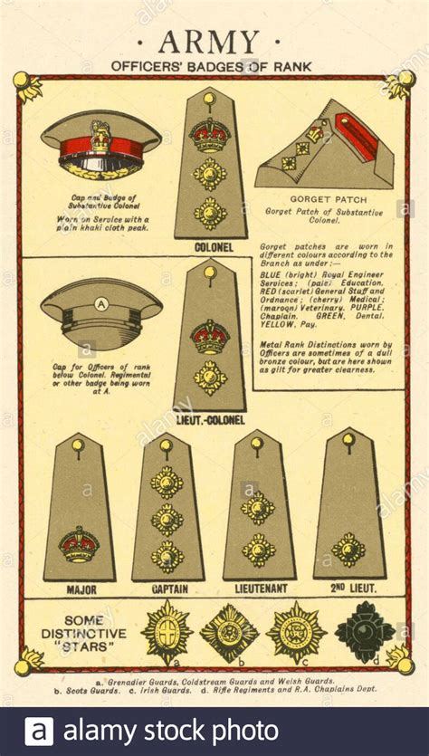 Design The Ultimate British Army Rank Guide Now Investigaci N Perfil