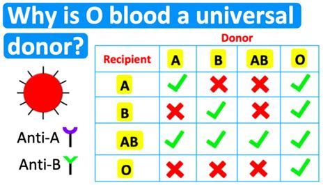 Design The Ultimate Universal Donor Experience Now!