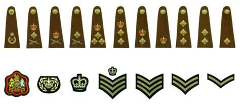 Design Ultimate British Army Ranks Guide Now Perfil Del Proyecto De