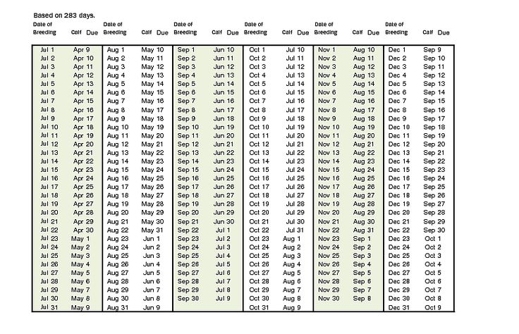 Dexter Cattle Calving Chart