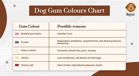 Dog Gum Color Chart Dog Amp 39 S Gums Color Meaning