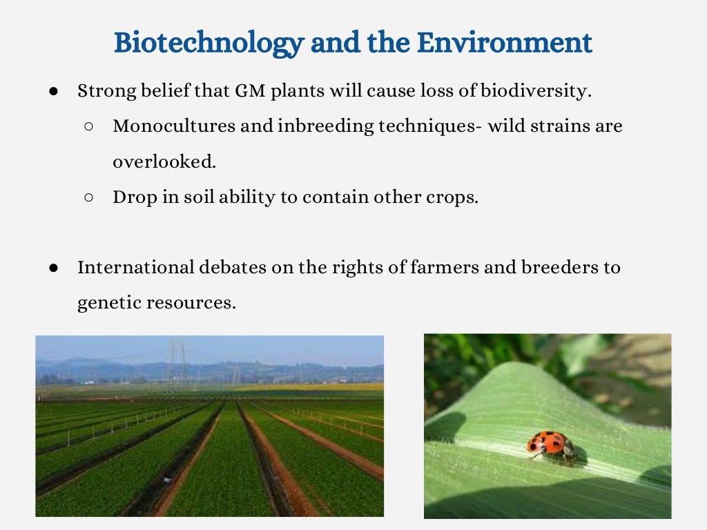 Ethical Aspects Of Biotechnology