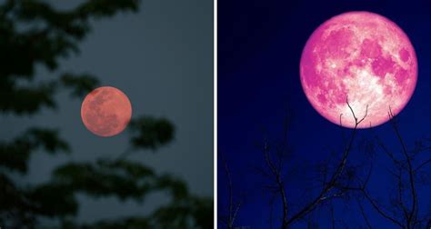 Experience The Magic Of The Pink Moon In State College Pennsylvania