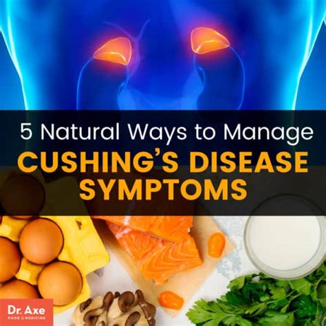 Expert Guide: 5 Steps To Manage Cushing's Disease Now