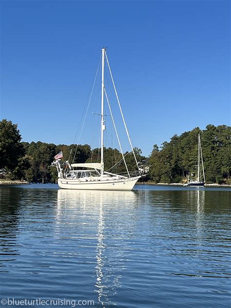 Exploring Solomons Island Maryland Blue Turtle Cruising