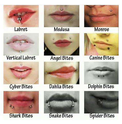 Face Piercing Chart Infinitytattoos Info Face Piercing Cha Clarice