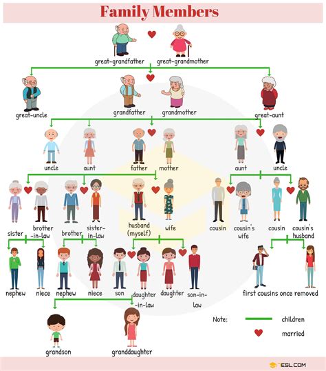 Family Members Names Of Members Of The Family In English For Kids