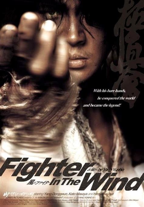 Fighter In The Wind 2004 Kung Fu Kingdom