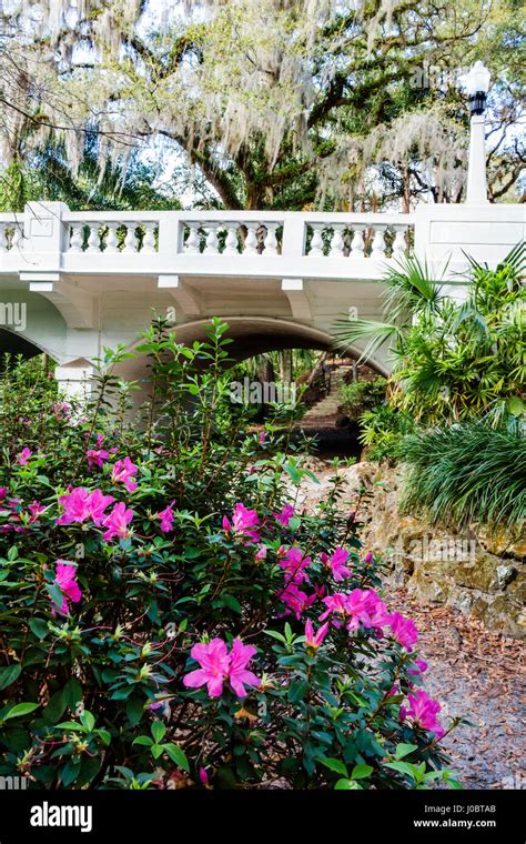 Florida Fl South Orlando H H Dickson Azalea Park Historic Stock