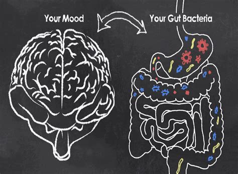 Food And Mood Introduction To Nutritional Psychiatry Physio Logic Nyc