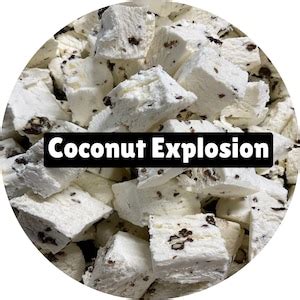 Freeze Dried Coconut Explosion Ice Cream Pieces Etsy