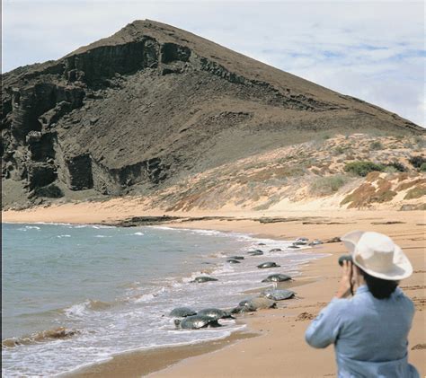 Galapagos Travel Guide Amp Tips Quasar Expeditions