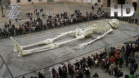 Giant Human Skeletons Found All Over The World Discovered National