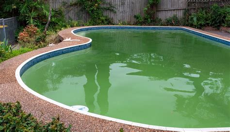 Green Algae In Pool Swimming Pool Green Algae Pool Maintenance