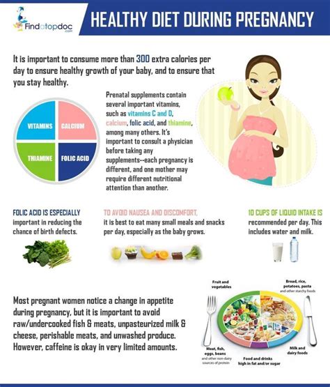 Healthy Diet During Pregnancy Infographic Nbkomputer