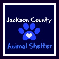 Holiday Pet Adoption Considerations With Jackson County Animal Shelter