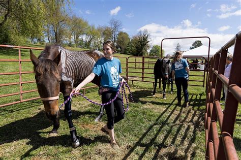 Horseshoes And Hedgehogs Fun For All At Veterinary College Open House