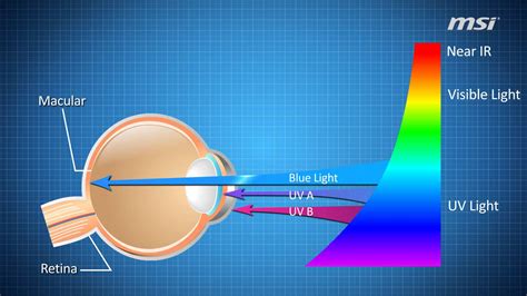 How Does Blue Light Affect Your Brain Iristech