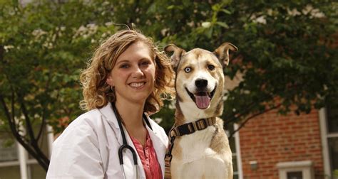 How Long Does It Take To Become A Veterinarian North Central College