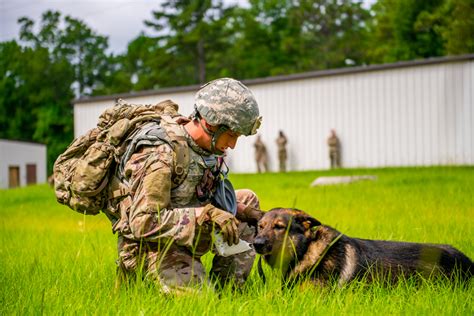 How Much Do Military Dog Trainers Make