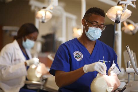 How To Become A Dentist Best Dental Schools 2022