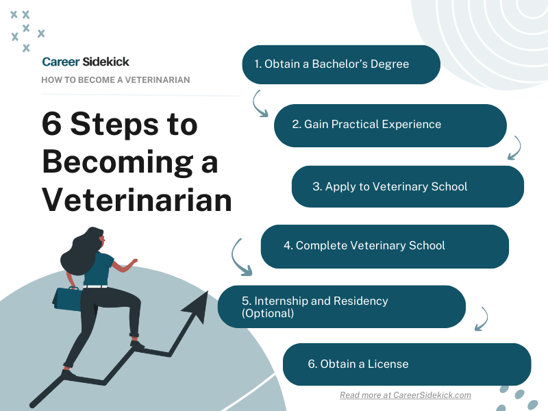 How To Become A Veterinarian Find Out How To Start A Career Working