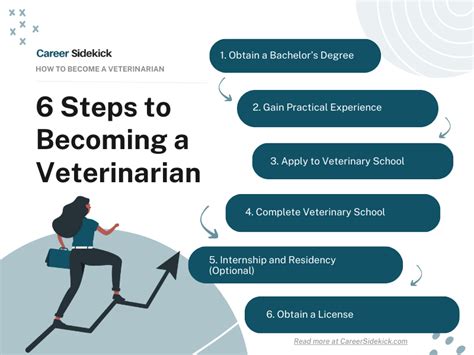 How To Become A Veterinarian Petmd