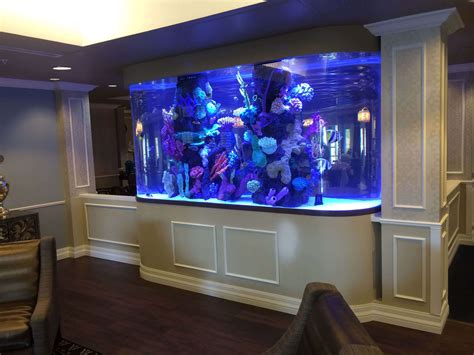 How To Build A Large Fish Aquarium Tips For Creating Your Perfect