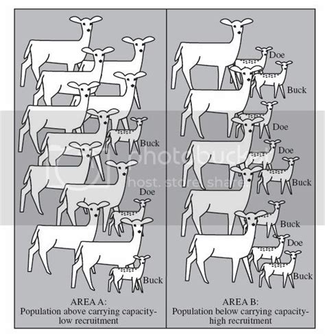 How To Determine Carrying Capacity Of Land Huntingnet Com Forums