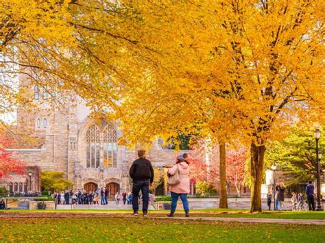 How To Increase Your Chances Of Transferring To Yale College Reality