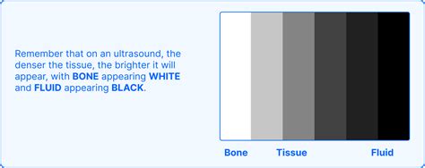 How To Read An Ultrasound Colors Numbers And Abbreviations