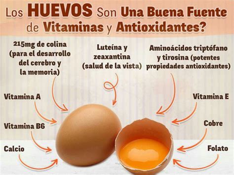 Huevo Tipos Propiedades Nutricionales Y Beneficios