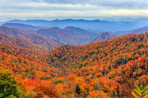 Inside The Secrets Of The Great Smoky Mountains National Park