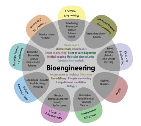 Is Bioengineering Right For Me Uw Bioengineering