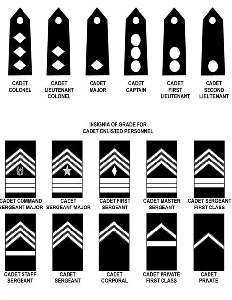 Jrotc Ranks Diagram Quizlet