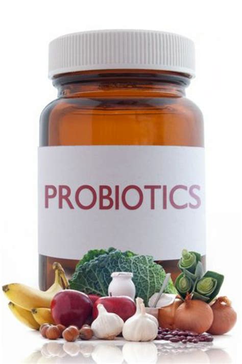 Les Probiotiques Et Leurs Effets Sur Notre Organisme Best Probiotic Prebiotics And Probiotics