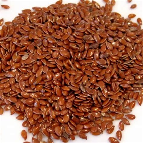 Linum Usitatissimum Seed At 120 Kilogram Linseed In Nagpur Id