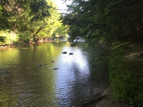 Little River Preserve Gorham Maine By Foot