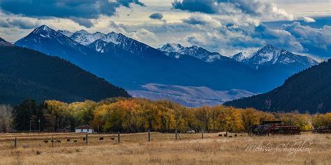 Livingston Mt Fall Taking Its Final Bow Under The Cold Breath Of