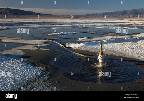 Los Angeles Returns Water To Owens Lake 100 Years After Building Los