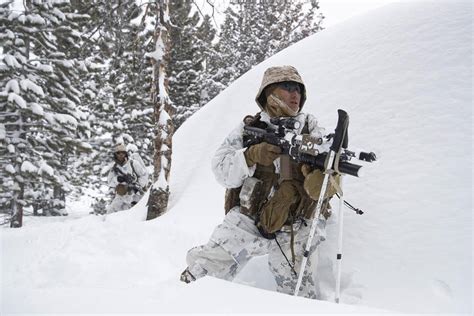 Marine Corps Steps Up Winter Warfare Training As Global Threat Shifts