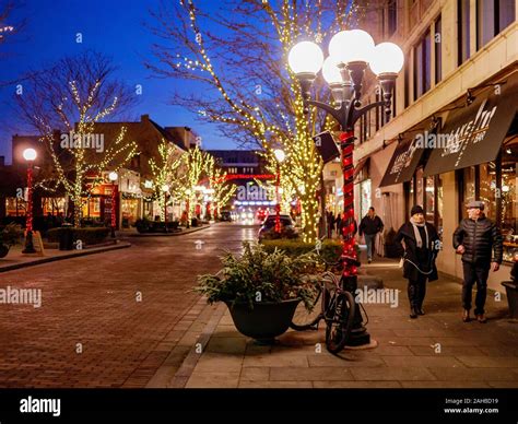 Marion Street Downtown Oak Park Illinois With Christmas Lights And