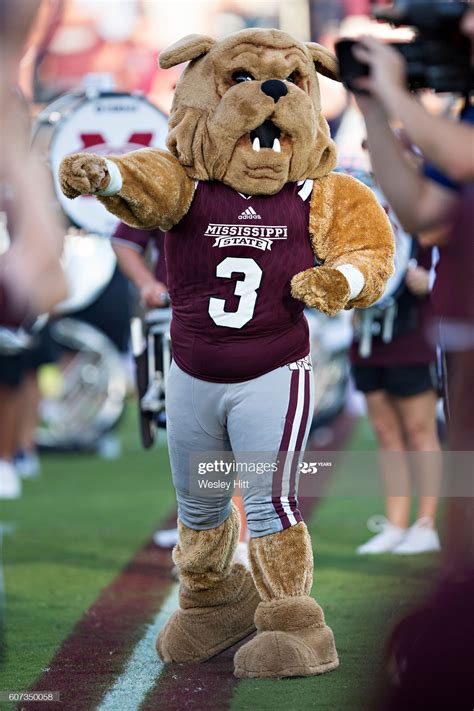 Mascot For Mississippi State University