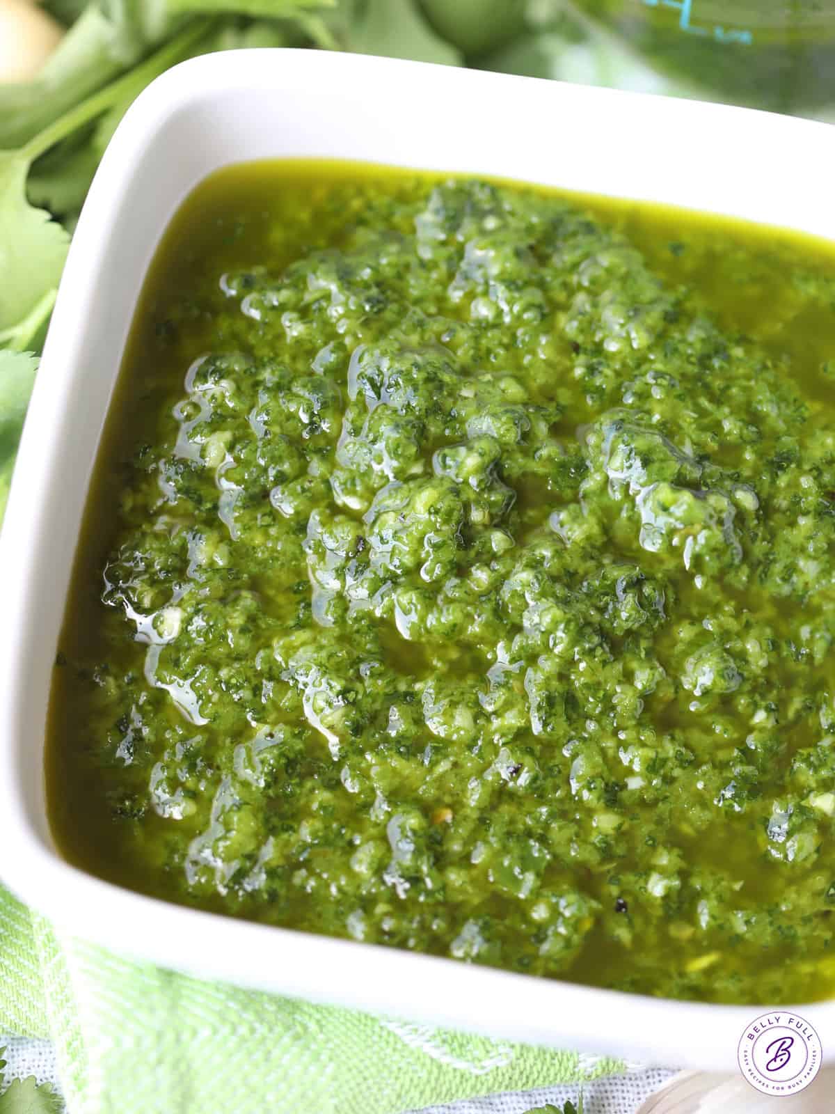 Mexican Chimichurri Sauce Belly Full