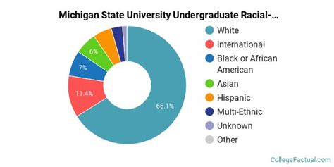 Michigan State University Population