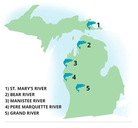 Michigan Steelhead Rivers Map Mommy Therine