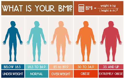 Military Body Fat Calculator Sharlenethai